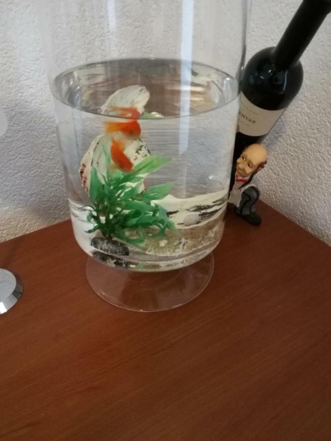 Radun Apartment Split Bagian luar foto